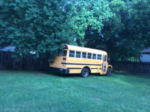 I see tree trimming in my future